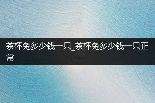 茶杯兔多少錢一只_茶杯兔多少錢一只正常