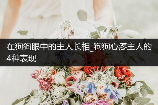 在狗狗眼中的主人長相_狗狗心疼主人的4種表現(xiàn)