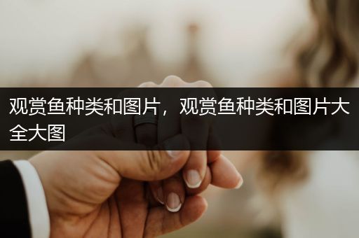 觀賞魚種類和圖片，觀賞魚種類和圖片大全大圖