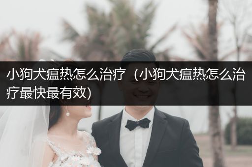 小狗犬瘟熱怎么治療（小狗犬瘟熱怎么治療最快最有效）