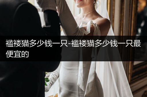 襤褸貓多少錢一只-襤褸貓多少錢一只最便宜的