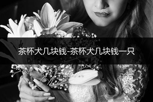 茶杯犬幾塊錢-茶杯犬幾塊錢一只