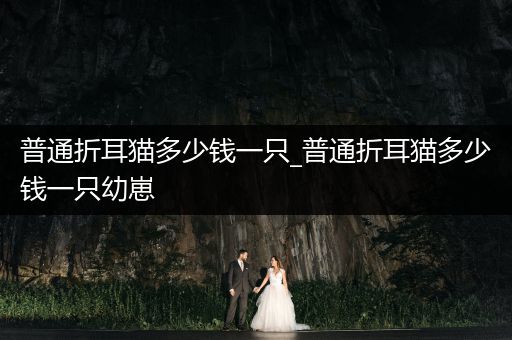 普通折耳貓多少錢一只_普通折耳貓多少錢一只幼崽