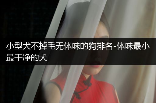 小型犬不掉毛無體味的狗排名-體味最小最干凈的犬