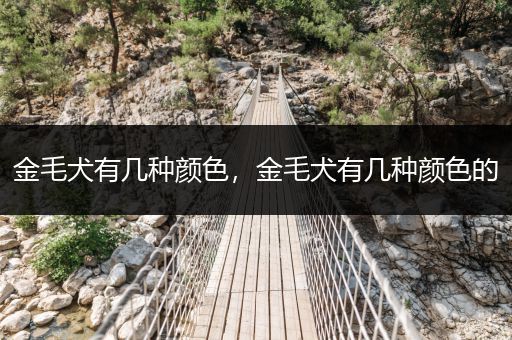 金毛犬有幾種顏色，金毛犬有幾種顏色的
