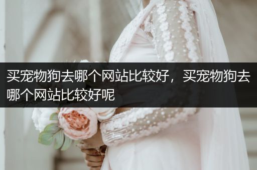 買寵物狗去哪個(gè)網(wǎng)站比較好，買寵物狗去哪個(gè)網(wǎng)站比較好呢