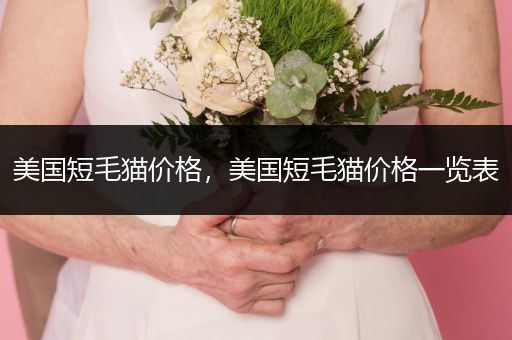 美國(guó)短毛貓價(jià)格，美國(guó)短毛貓價(jià)格一覽表