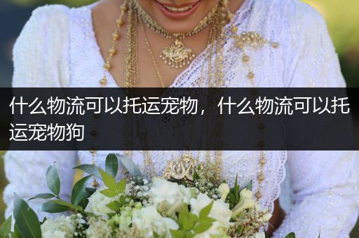 什么物流可以托運(yùn)寵物，什么物流可以托運(yùn)寵物狗