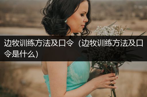 邊牧訓(xùn)練方法及口令（邊牧訓(xùn)練方法及口令是什么）