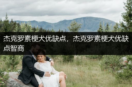 杰克羅素梗犬優(yōu)缺點，杰克羅素梗犬優(yōu)缺點智商