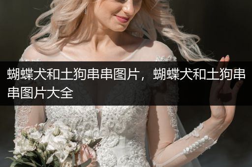 蝴蝶犬和土狗串串圖片，蝴蝶犬和土狗串串圖片大全