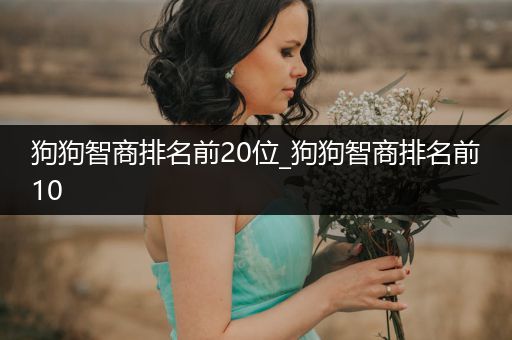 狗狗智商排名前20位_狗狗智商排名前10