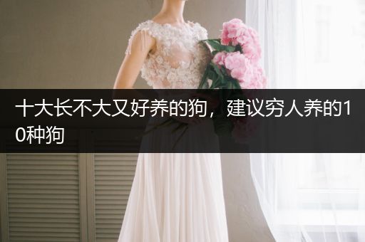 十大長不大又好養(yǎng)的狗，建議窮人養(yǎng)的10種狗