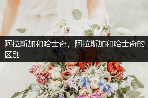 阿拉斯加和哈士奇，阿拉斯加和哈士奇的區(qū)別