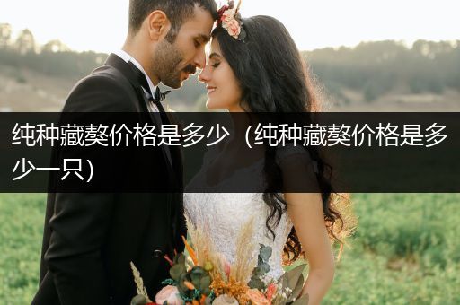 純種藏獒價(jià)格是多少（純種藏獒價(jià)格是多少一只）