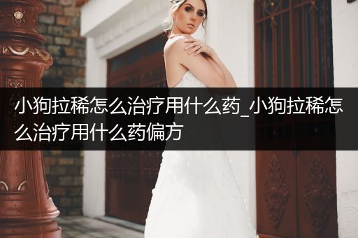 小狗拉稀怎么治療用什么藥_小狗拉稀怎么治療用什么藥偏方