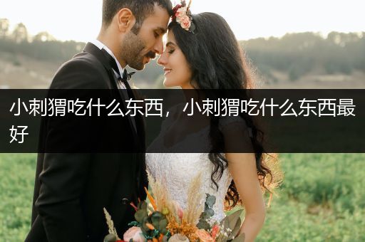 小刺猬吃什么東西，小刺猬吃什么東西最好