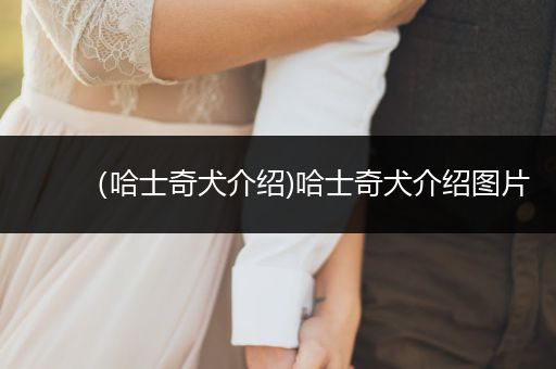 （哈士奇犬介紹)哈士奇犬介紹圖片