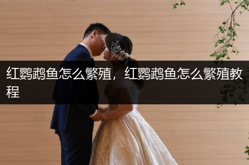 紅鸚鵡魚(yú)怎么繁殖，紅鸚鵡魚(yú)怎么繁殖教程