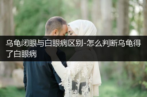 烏龜閉眼與白眼病區(qū)別-怎么判斷烏龜?shù)昧税籽鄄?>
                    </a>
                </div>
                <p><i class=