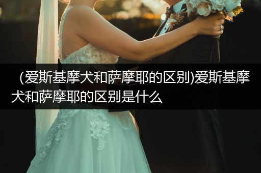 （愛斯基摩犬和薩摩耶的區(qū)別)愛斯基摩犬和薩摩耶的區(qū)別是什么