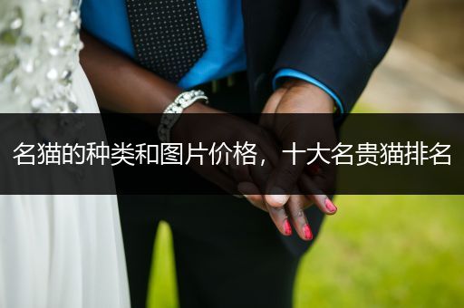 名貓的種類(lèi)和圖片價(jià)格，十大名貴貓排名