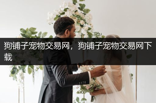 狗鋪?zhàn)訉櫸锝灰拙W(wǎng)，狗鋪?zhàn)訉櫸锝灰拙W(wǎng)下載