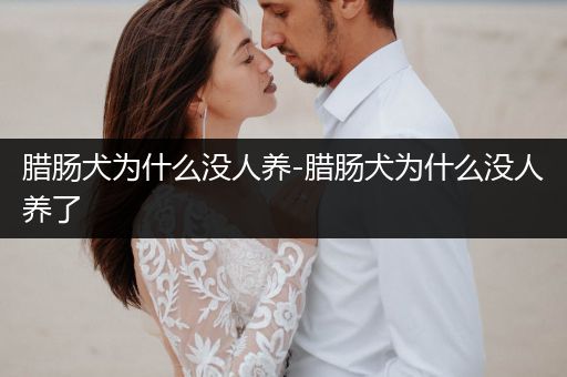 臘腸犬為什么沒人養(yǎng)-臘腸犬為什么沒人養(yǎng)了