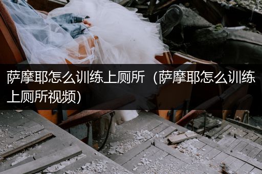 薩摩耶怎么訓(xùn)練上廁所（薩摩耶怎么訓(xùn)練上廁所視頻）