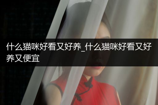 什么貓咪好看又好養(yǎng)_什么貓咪好看又好養(yǎng)又便宜