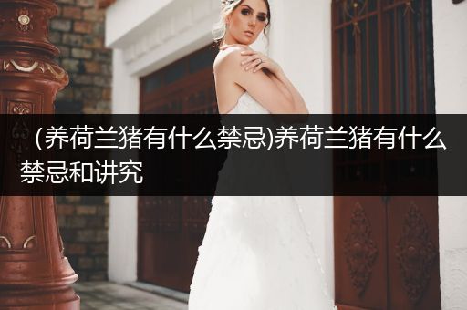 （養(yǎng)荷蘭豬有什么禁忌)養(yǎng)荷蘭豬有什么禁忌和講究