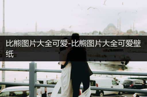 比熊圖片大全可愛(ài)-比熊圖片大全可愛(ài)壁紙