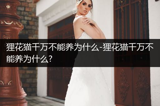 貍花貓千萬(wàn)不能養(yǎng)為什么-貍花貓千萬(wàn)不能養(yǎng)為什么?