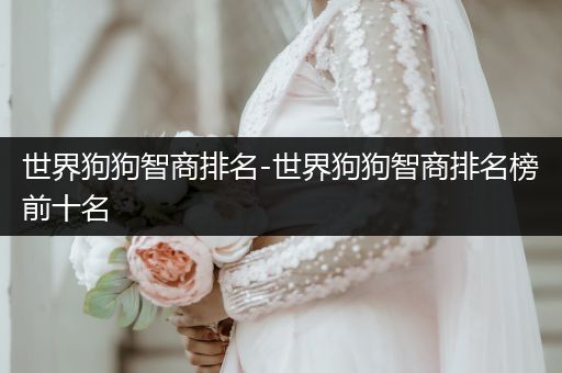 世界狗狗智商排名-世界狗狗智商排名榜前十名
