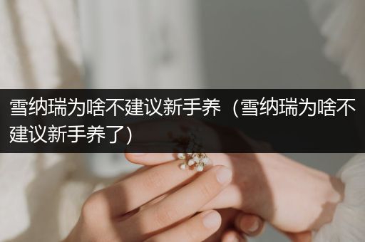 雪納瑞為啥不建議新手養(yǎng)（雪納瑞為啥不建議新手養(yǎng)了）