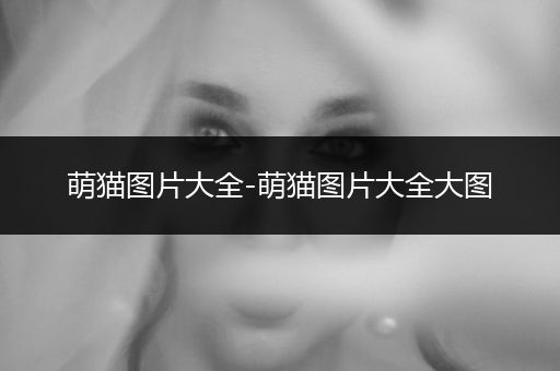 萌貓圖片大全-萌貓圖片大全大圖