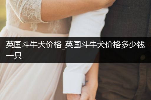 英國(guó)斗牛犬價(jià)格_英國(guó)斗牛犬價(jià)格多少錢(qián)一只