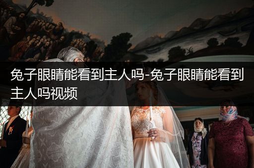 兔子眼睛能看到主人嗎-兔子眼睛能看到主人嗎視頻