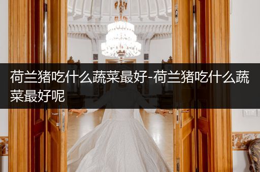 荷蘭豬吃什么蔬菜最好-荷蘭豬吃什么蔬菜最好呢