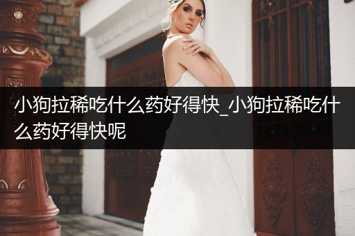 小狗拉稀吃什么藥好得快_小狗拉稀吃什么藥好得快呢