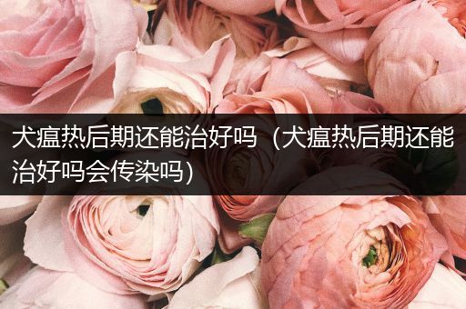 犬瘟熱后期還能治好嗎（犬瘟熱后期還能治好嗎會(huì)傳染嗎）