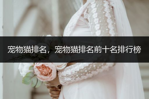 寵物貓排名，寵物貓排名前十名排行榜