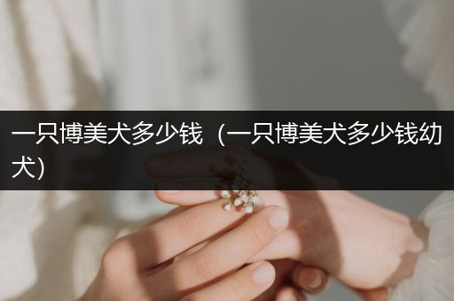 一只博美犬多少錢(qián)（一只博美犬多少錢(qián)幼犬）