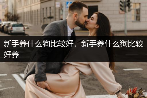 新手養(yǎng)什么狗比較好，新手養(yǎng)什么狗比較好養(yǎng)