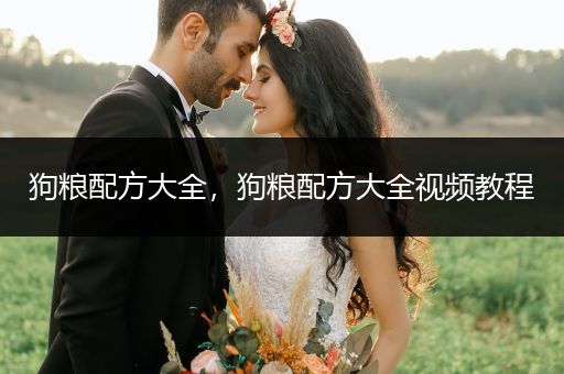 狗糧配方大全，狗糧配方大全視頻教程