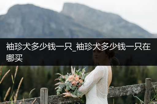 袖珍犬多少錢(qián)一只_袖珍犬多少錢(qián)一只在哪買(mǎi)