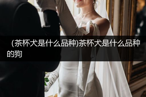 （茶杯犬是什么品種)茶杯犬是什么品種的狗