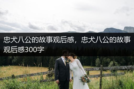 忠犬八公的故事觀后感，忠犬八公的故事觀后感300字