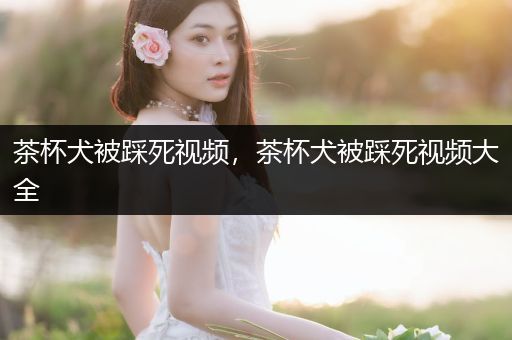 茶杯犬被踩死視頻，茶杯犬被踩死視頻大全