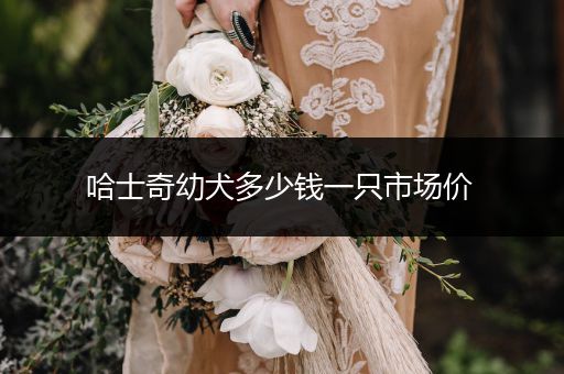 哈士奇幼犬多少錢一只市場價 